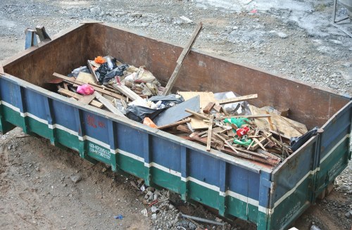 Domestic skip placement in a Richmond garden