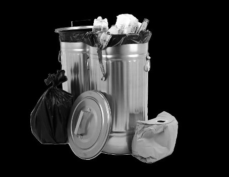 Professional disposal service handling hazardous materials