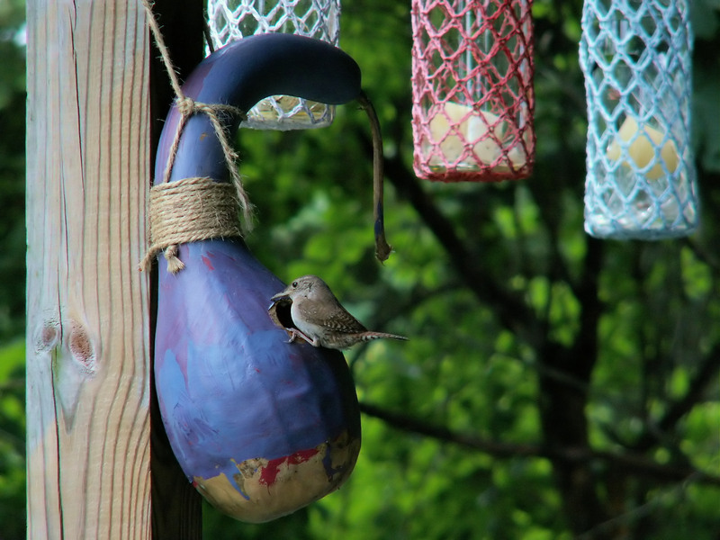 Give Household Waste a Second Chance with Stunning Upcycle Ideas